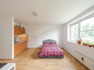 Pronájem bytu 1+kk, Praha - Prosek, Na vyhlídce, 37 m2