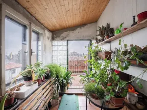 Prodej rodinného domu, Třebusice, 470 m2