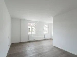 Pronájem bytu 3+kk, Praha - Vinohrady, Třebízského, 120 m2