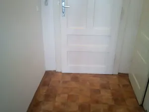 Pronájem bytu 1+1, Praha - Žižkov, Hájkova, 40 m2