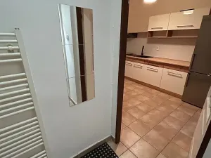 Pronájem bytu 1+1, Praha - Žižkov, Seifertova, 32 m2