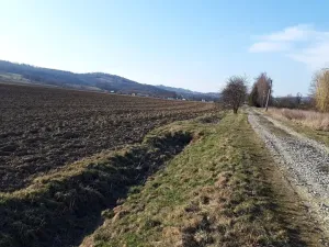 Prodej pozemku pro bydlení, Libina, 1382 m2