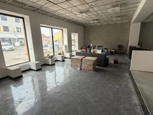 Prodej obchodního prostoru, Hodonín, Měšťanská, 1050 m2