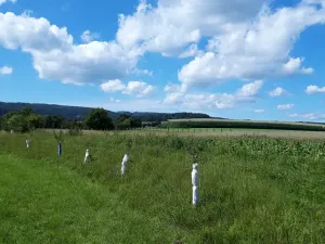Prodej pozemku pro bydlení, Líšnice, 5077 m2