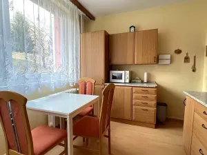 Pronájem bytu 1+1, Uherský Brod, Rychtalíkova, 39 m2