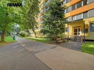 Pronájem bytu 1+1, Kolín, Dělnická, 31 m2