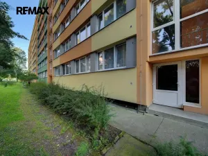 Pronájem bytu 1+1, Kolín, Dělnická, 31 m2