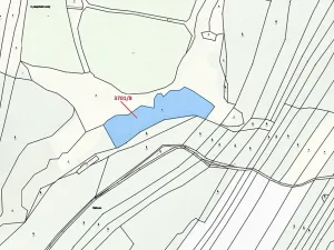 Dražba louky, Strmilov, 11093 m2