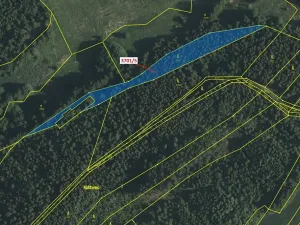 Dražba lesa, Strmilov, 3866 m2