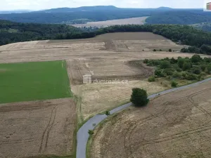 Prodej pozemku, Sýkořice, 3943 m2