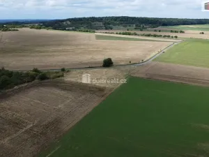 Prodej pozemku, Sýkořice, 3943 m2