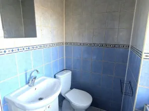 Pronájem bytu 3+1, Bílina - Újezdské Předměstí, 5. května, 56 m2