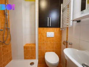 Pronájem bytu 1+kk, Ostrava, Krakovská, 20 m2