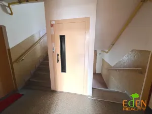 Pronájem bytu 1+kk, Plzeň, Dlouhá, 20 m2