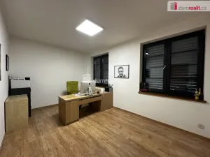 Prodej rodinného domu, Děčín - Děčín I-Děčín, Dobrovského, 229 m2