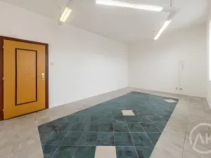 Pronájem kanceláře, Ostrava - Přívoz, Libušina, 22 m2