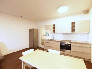 Pronájem bytu 1+kk, Praha - Košíře, Česká, 43 m2