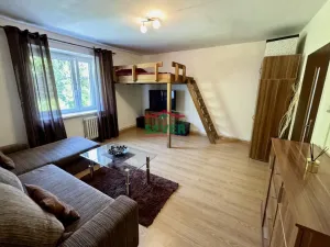 Prodej bytu 1+1, Jáchymov, Fibichova, 43 m2