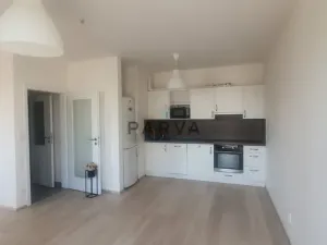 Pronájem bytu 1+kk, Plzeň - Jižní Předměstí, Inženýrská, 47 m2