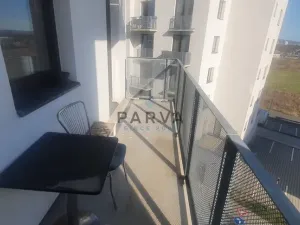 Pronájem bytu 1+kk, Plzeň - Jižní Předměstí, Inženýrská, 47 m2