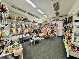 Pronájem obchodního prostoru, Valašské Meziříčí, Zašovská, 293 m2