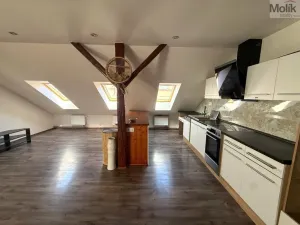 Pronájem bytu 3+kk, Teplice - Trnovany, Thámova, 95 m2