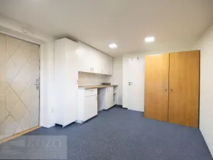Prodej bytu 3+1, Moravany, Tichá, 108 m2