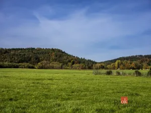 Prodej pozemku pro bydlení, Křižany, 1506 m2