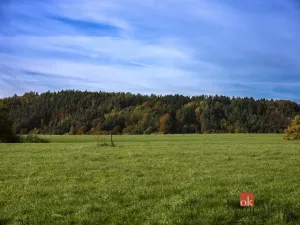 Prodej pozemku pro bydlení, Křižany, 1506 m2