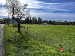 Prodej pozemku pro bydlení, Křižany, 1506 m2