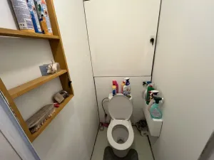 Pronájem bytu 1+kk, České Budějovice - České Budějovice 2, K. Chocholy, 29 m2