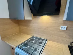 Pronájem bytu 2+1, Jirkov, Ervěnická, 52 m2