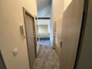 Pronájem bytu 1+kk, Olomouc, Praskova, 54 m2