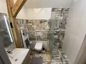 Pronájem bytu 1+kk, Olomouc, Praskova, 54 m2