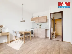 Prodej bytu 1+1, Jirkov, K. Marxe, 36 m2