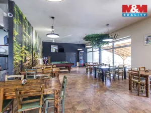 Prodej restaurace, Slezské Rudoltice, 360 m2