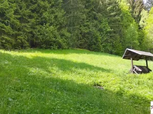 Prodej pozemku pro bydlení, Tanvald, 7310 m2