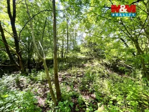 Prodej rybníku, Skalice u České Lípy, 3255 m2