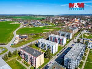 Prodej bytu 3+1, Veselí nad Lužnicí - Veselí nad Lužnicí I, Pod Markem, 62 m2