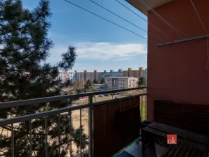 Prodej bytu 3+1, Plzeň - Bolevec, Žlutická, 74 m2