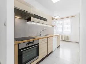 Prodej bytu 3+1, Veselí nad Lužnicí, Pod Markem, 62 m2