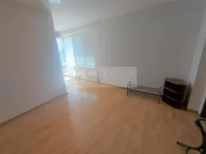 Pronájem bytu 4+kk, Praha, U zeleného ptáka, 113 m2