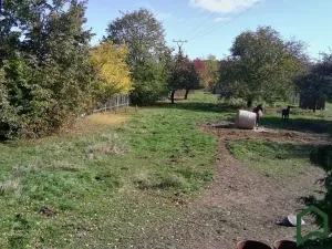 Prodej pozemku pro bydlení, Ruprechtov, 5140 m2