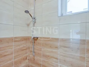 Prodej chalupy, Strachotín, Šakvická, 270 m2