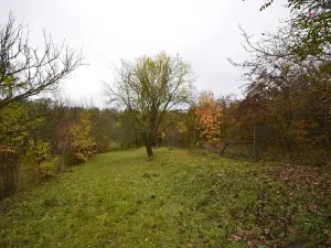 Prodej zahrady, Hostěrádky-Rešov, 705 m2