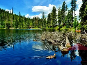 Prodej bytu 2+kk, Prášily, 29 m2