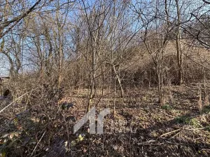 Prodej rodinného domu, Babice u Rosic, 60 m2