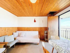 Prodej chaty, Vysoké Mýto, Vinice, 17 m2