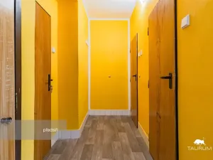 Prodej bytu 1+1, Praha - Libeň, V zahradách, 29 m2