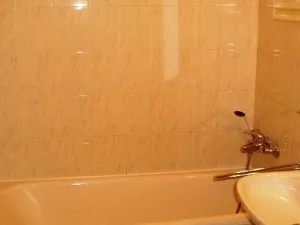 Pronájem bytu 1+1, Praha - Vršovice, Košická, 48 m2